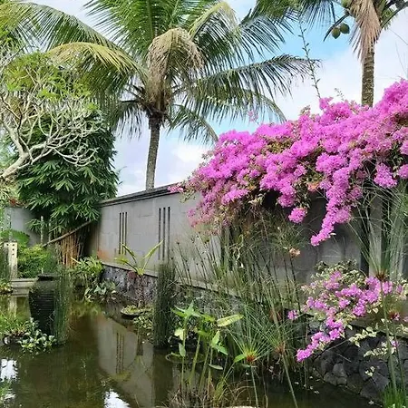 Villa & Farm For 5, Near Sidemen W/ Mt. Agung View Selat Exterior photo