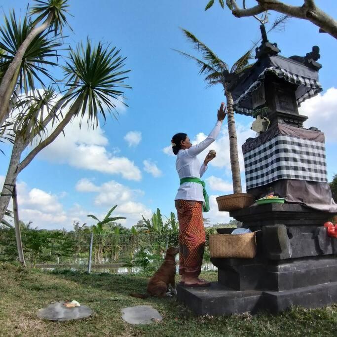 Villa & Farm For 5, Near Sidemen W/ Mt. Agung View
