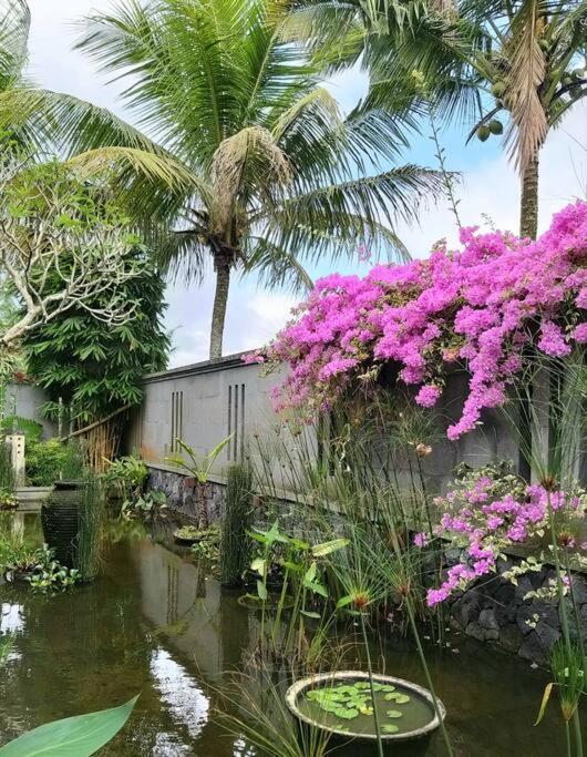 & Farm For 5, Near Sidemen W/ Mt. Agung View Villa
