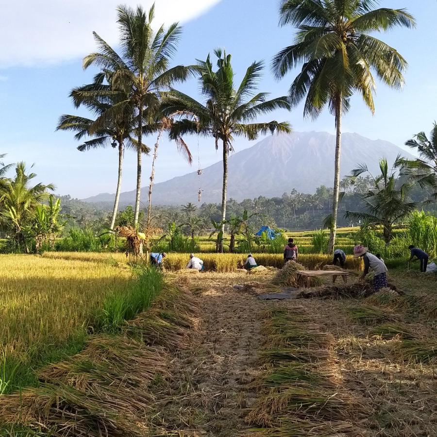 & Farm For 5, Near Sidemen W/ Mt. Agung View *