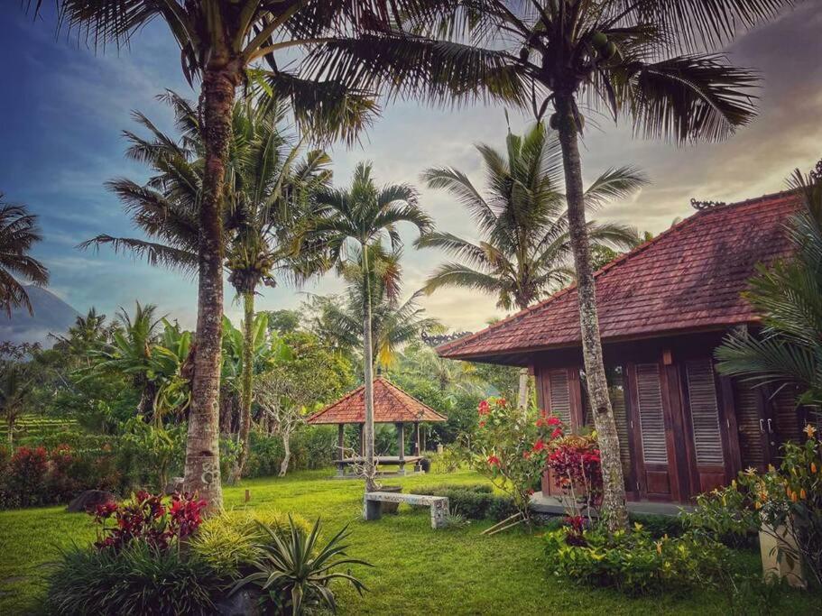 & Farm For 5, Near Sidemen W/ Mt. Agung View *