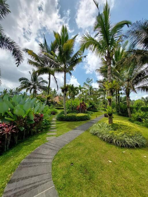 & Farm For 5, Near Sidemen W/ Mt. Agung View Selat