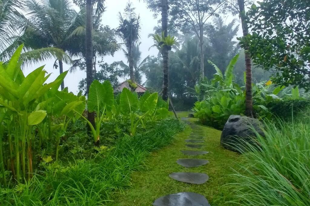 Villa & Farm For 5, Near Sidemen W/ Mt. Agung View *