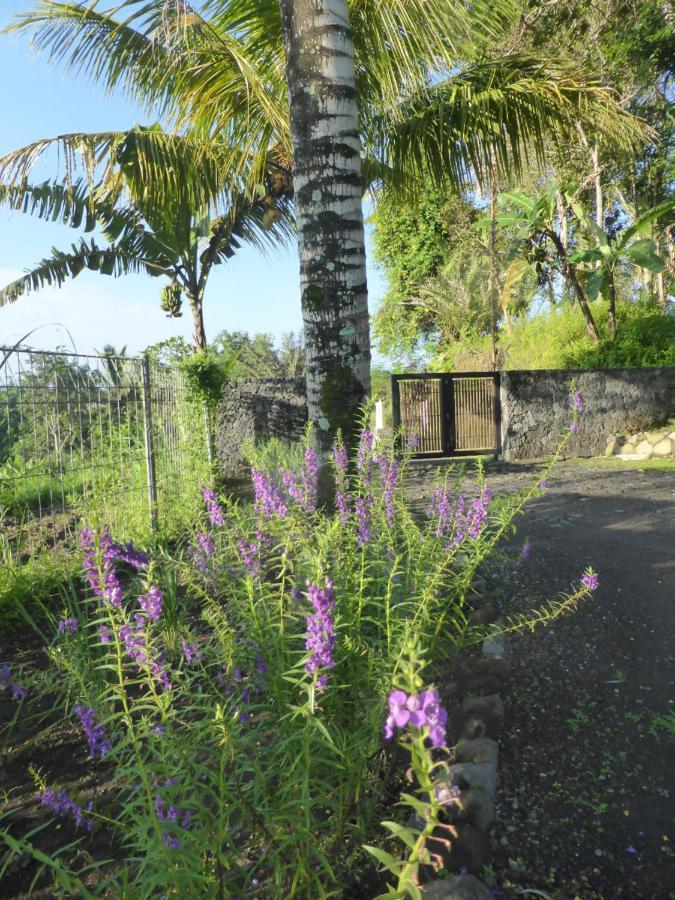 & Farm For 5, Near Sidemen W/ Mt. Agung View Villa