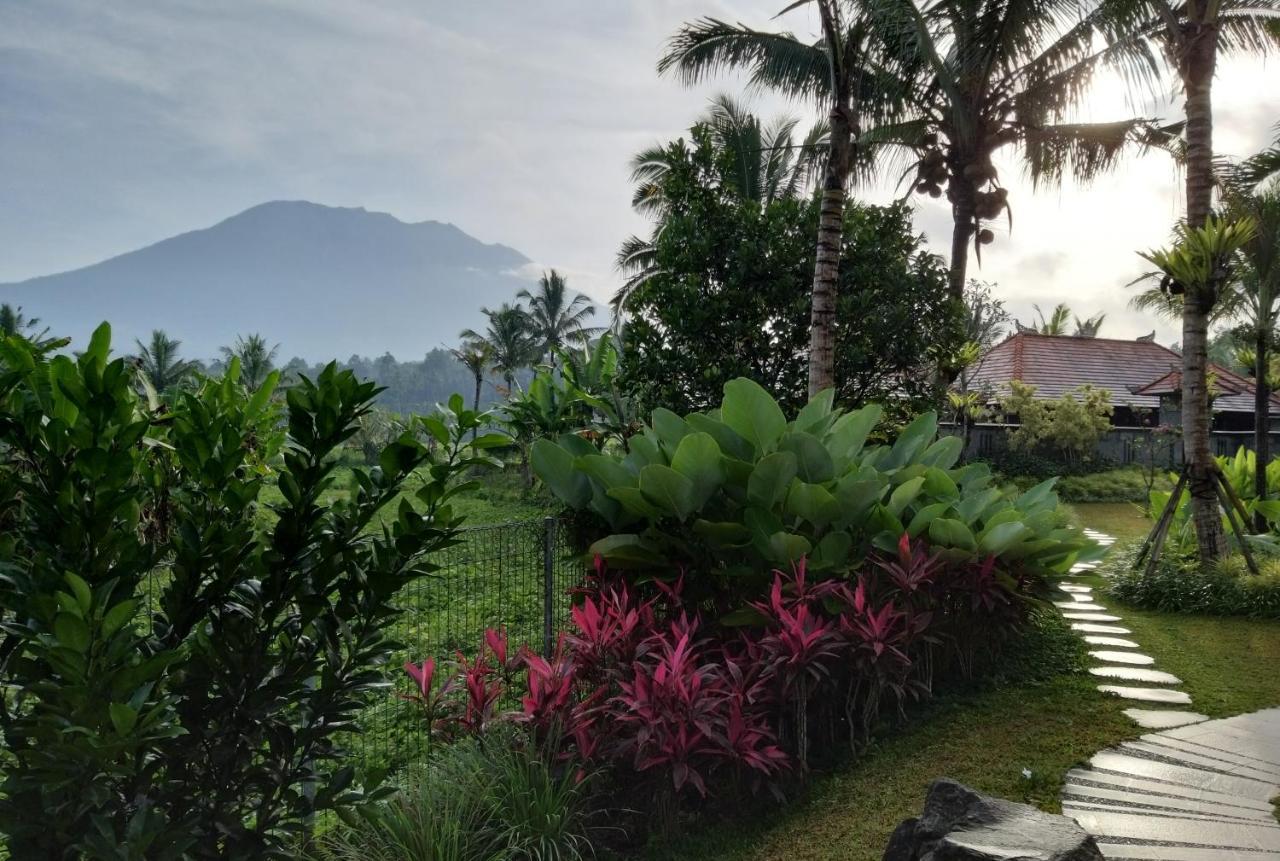 & Farm For 5, Near Sidemen W/ Mt. Agung View