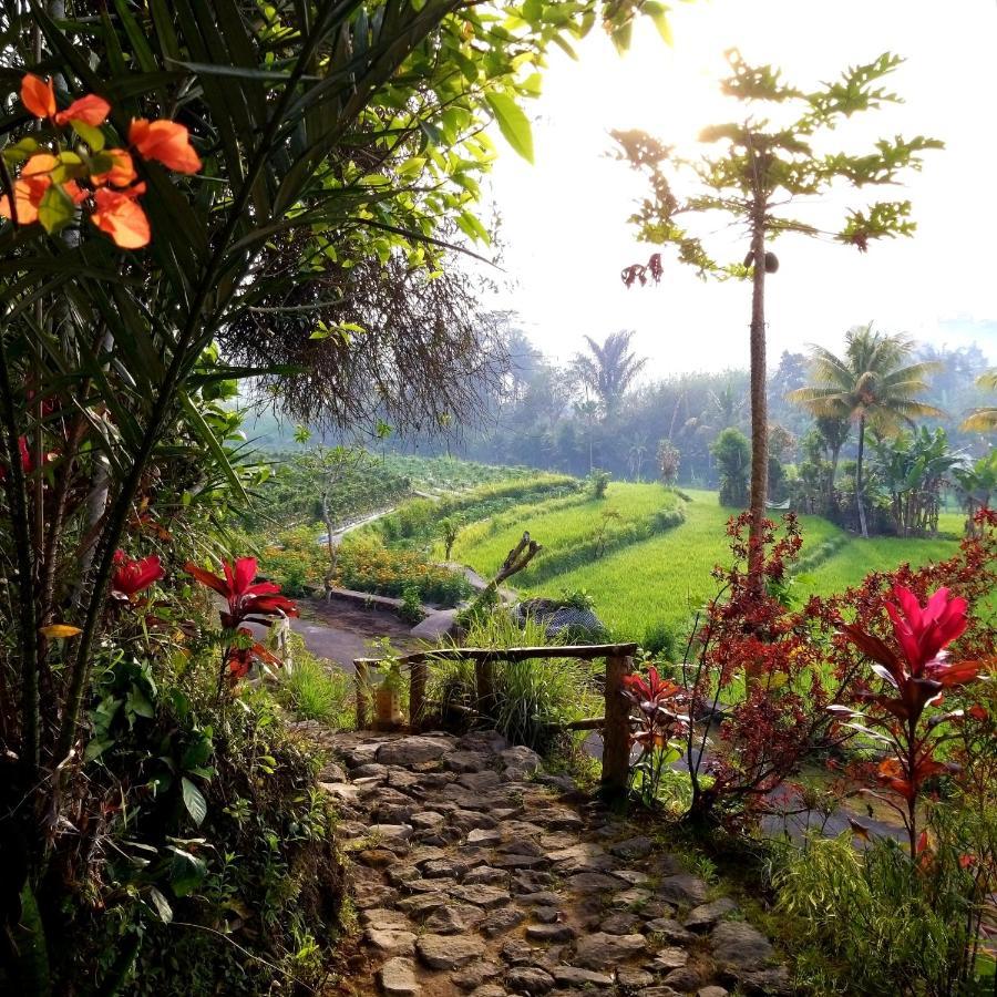 Villa & Farm For 5, Near Sidemen W/ Mt. Agung View